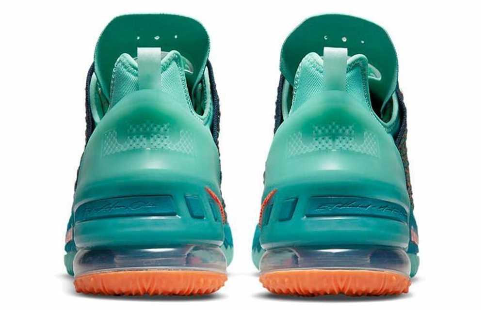 Кроссовки Nike Lebron 18 "We Are Family"