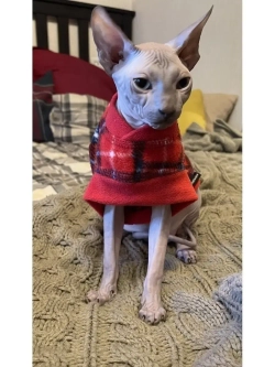 Одежда свитер для сфинксов кошек