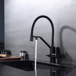 Смеситель для кухни с подключением фильтра Raglo R85.62.06, черный