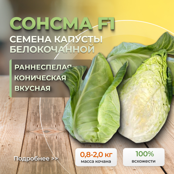 СОНСМА F1 семена капусты белокочанной Rijk Zwaan характиристика – фото 1