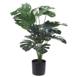 GAEM Цветочная композиция, L12 W12 H70 см