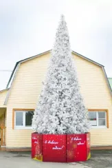 Уличная искусственная елка Альпийская белая 22 м., ствольная, ПВХ, Green Trees (GT22APVCW)