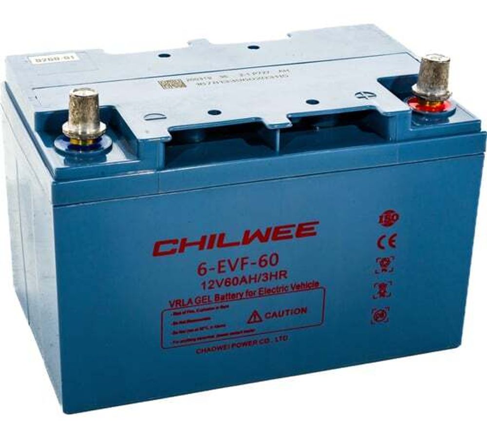 Тяговый аккумулятор CHILWEE 6-EVF-38 (TNE12-45L)