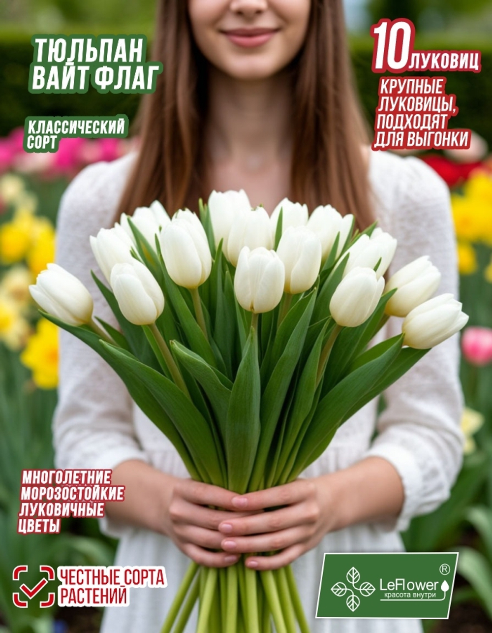 Тюльпан Луковица, Вайт Флаг, 10шт, крупные