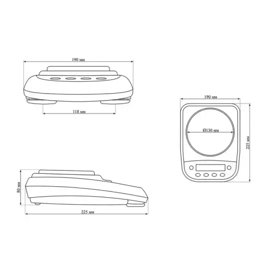 Лабораторные весы S2202