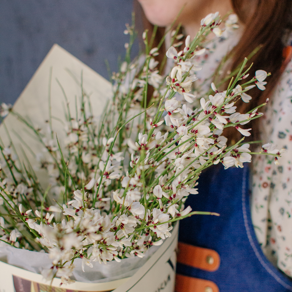 154. Весенний букет из ароматной генисты