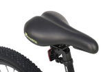 Maxiscoo 3BIKE 20'' M (2025)
