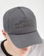Кепка Anteater Trucker серая