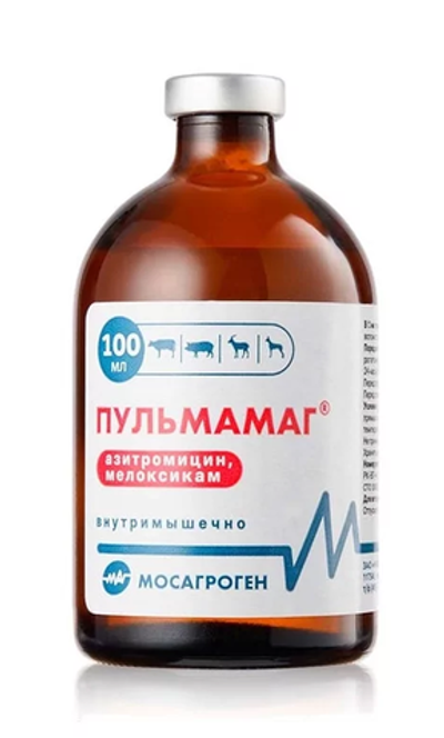 Пульмамаг 100 мл