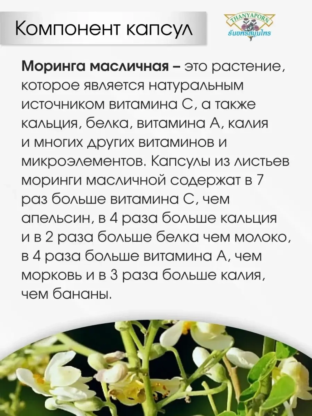 Укрепляет иммунитет, очищает кровь