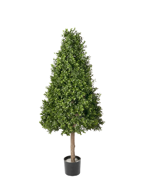 Самшиты Тауэр уличные новые