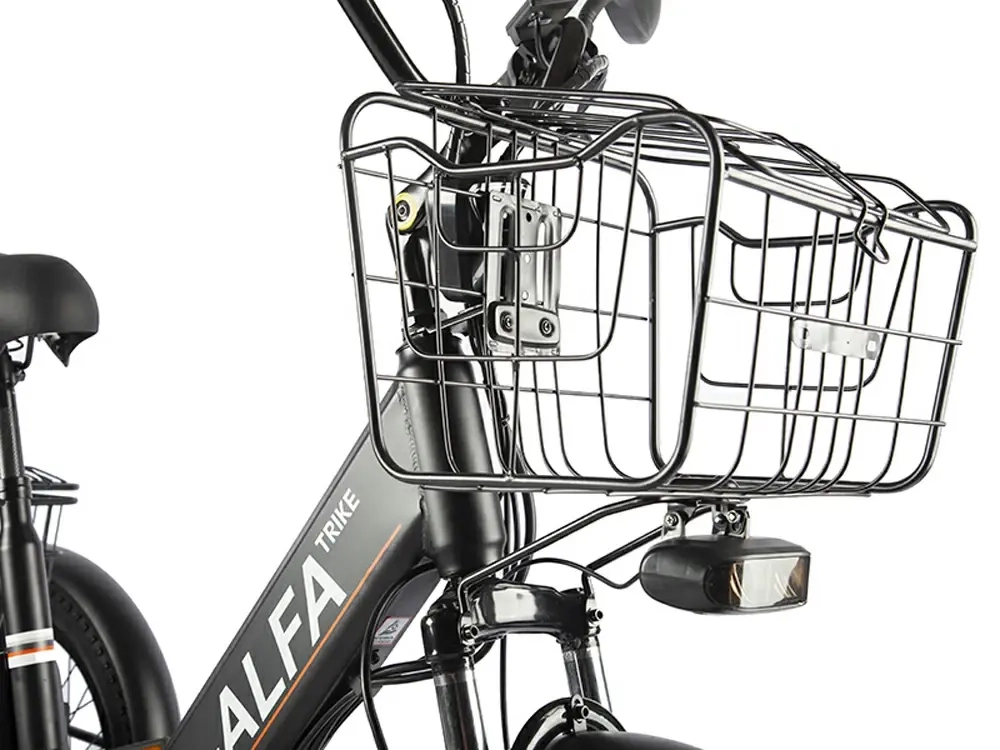 Электровелосипед GREEN CITY e-ALFA Trike (серебристый)
