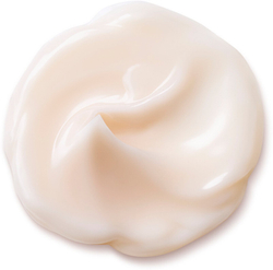Shiseido Bio-Performance Advanced Super Revitalizing Cream - антивозрастной восстанавливающий и обновляющий крем /   75  ml  / GTIN 729238103214