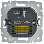 BRITE Розетка USB A+C 45Вт высокоскоростная зарядка РЮ11-2-БрШ шампань IEK