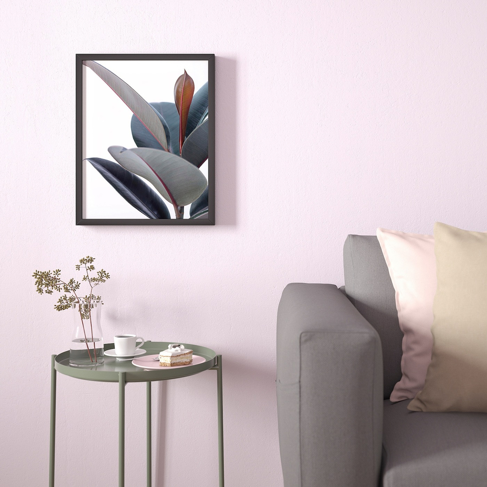 IKEA BILD  (ИКЕА БИЛД)  -  Постер, Горшечное растение -Зей, 40x50 см