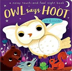 Owl Says Hoot : A noisy touch-and-feel night book