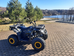 Квадроцикл бензиновый MOTAX GRIZLIK W200