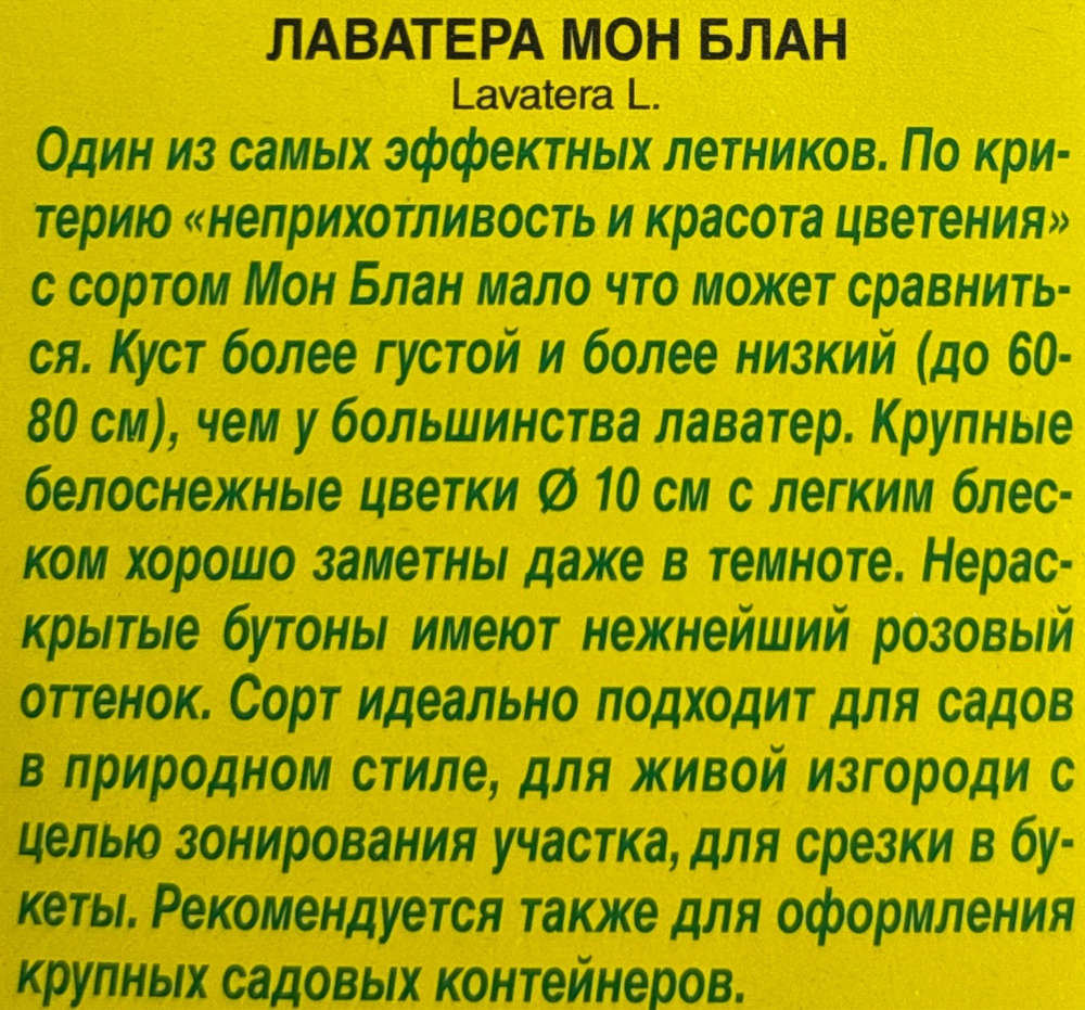 Лаватера Мон Блан СМЦ-526