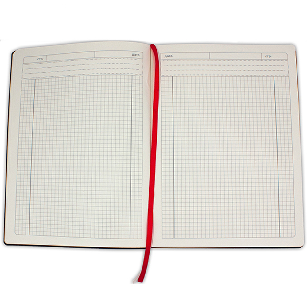 НОВИНКА! Бизнес-тетрадь А4 в клетку BIG BOSS red, 128 листов, гибкая обложка - красный Softtach