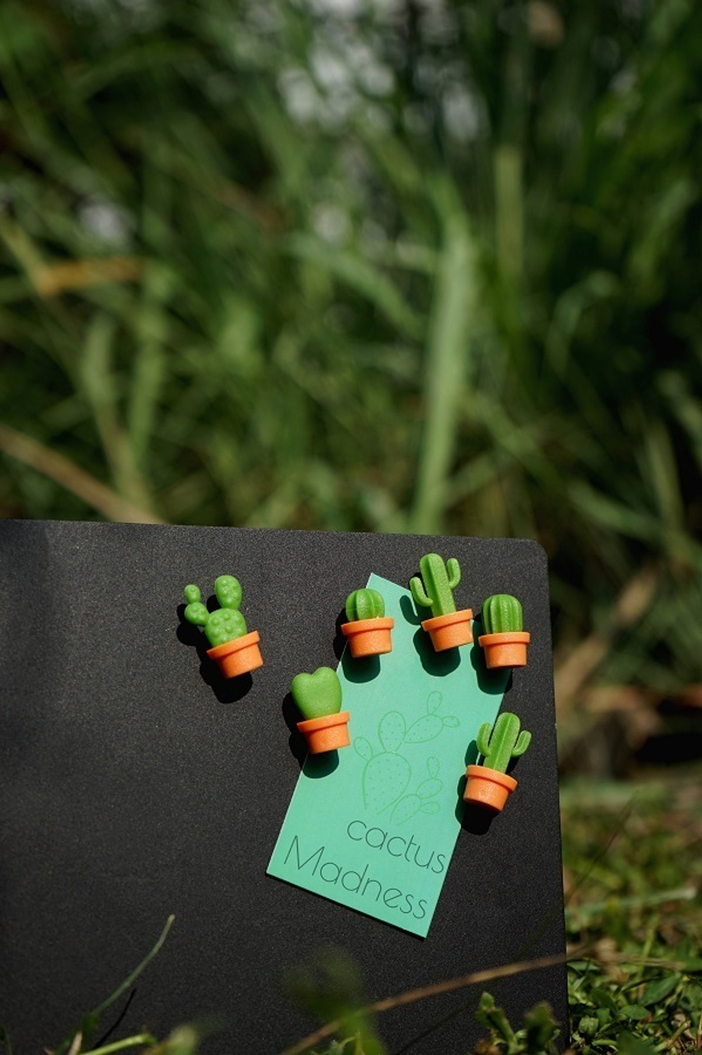 Магниты cactus, 6 шт.