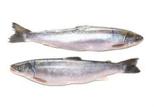 Голец Дальневосточный замороженный~800г