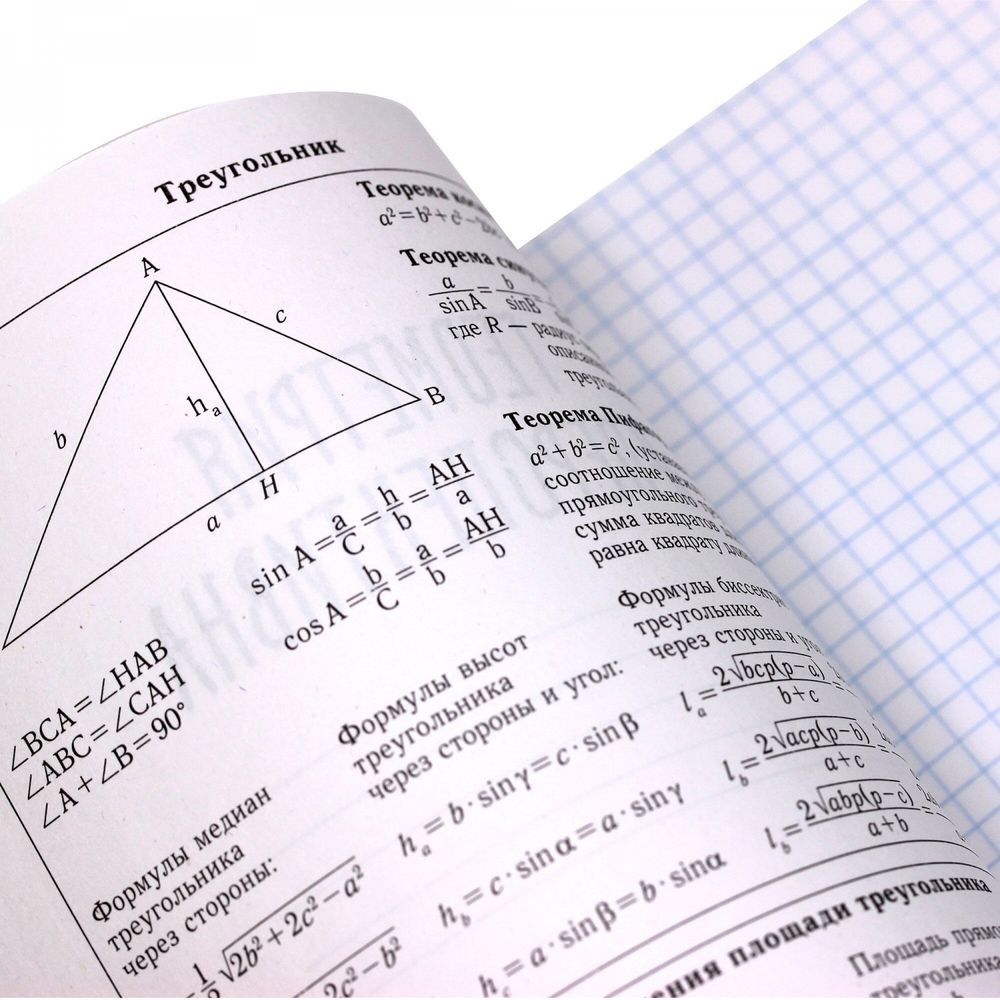 Тетрадь предметная "Neon party. Геометрия", А5, 48 л, клетка, скрепка, мел. картон, выб. лак.