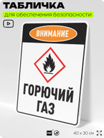 Табличка для обеспечения безопасности "Внимание горючий газ", для производства, предприятия, организаций, 40х30 см, Silver Plane x Айдентика Технолоджи
