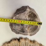 Набор из окаменелого дерева 4 предм Fossil Set NF-63294 поднос 149