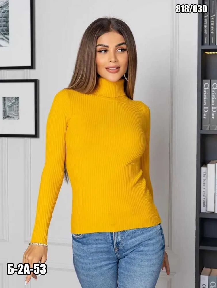 Водолазка 4145655 (0901000688) Fabrika