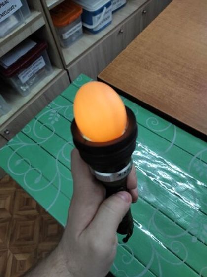 Овоскоп "Цыпленок 2"