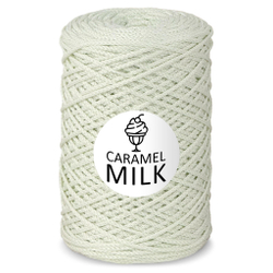 Шнур Caramel Milk, 3мм, 300м, 100% полиэфир (1 шт.)
