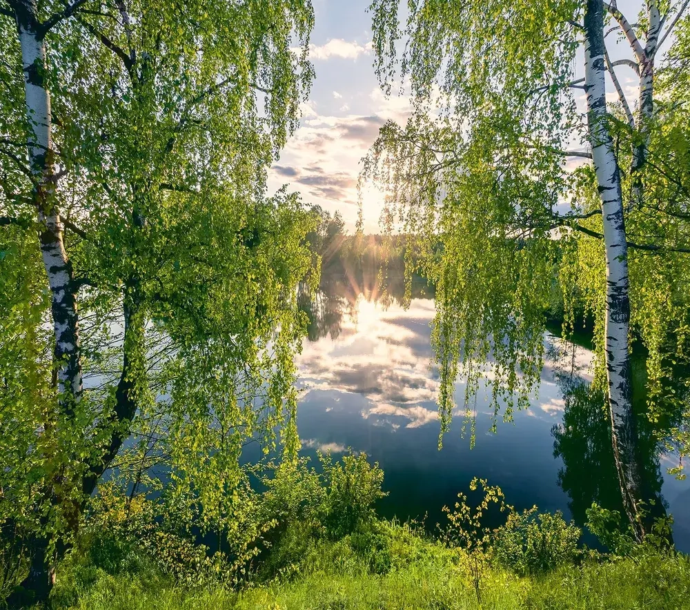 Фотообои Vostorg № 315 У озера 294х260см