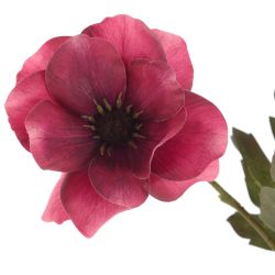 GAEM Цветок искусственный "Анемон", L19 W19 H69 см