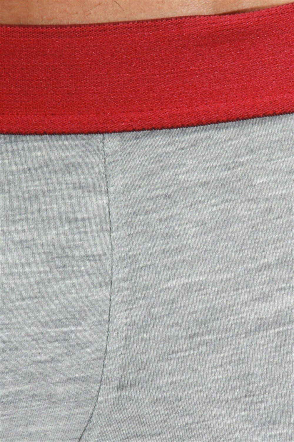 Серые трусы-боксеры с цветными вставками по бокам (Размер: S) (Цвет: серый)