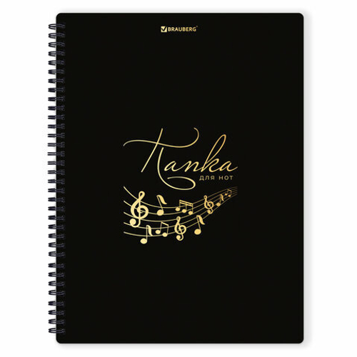 Папка-тетрадь для нот А4, 20 вкладышей на 40 страниц, на гребне, пластик, ЧЕРНАЯ, BRAUBERG, 404643