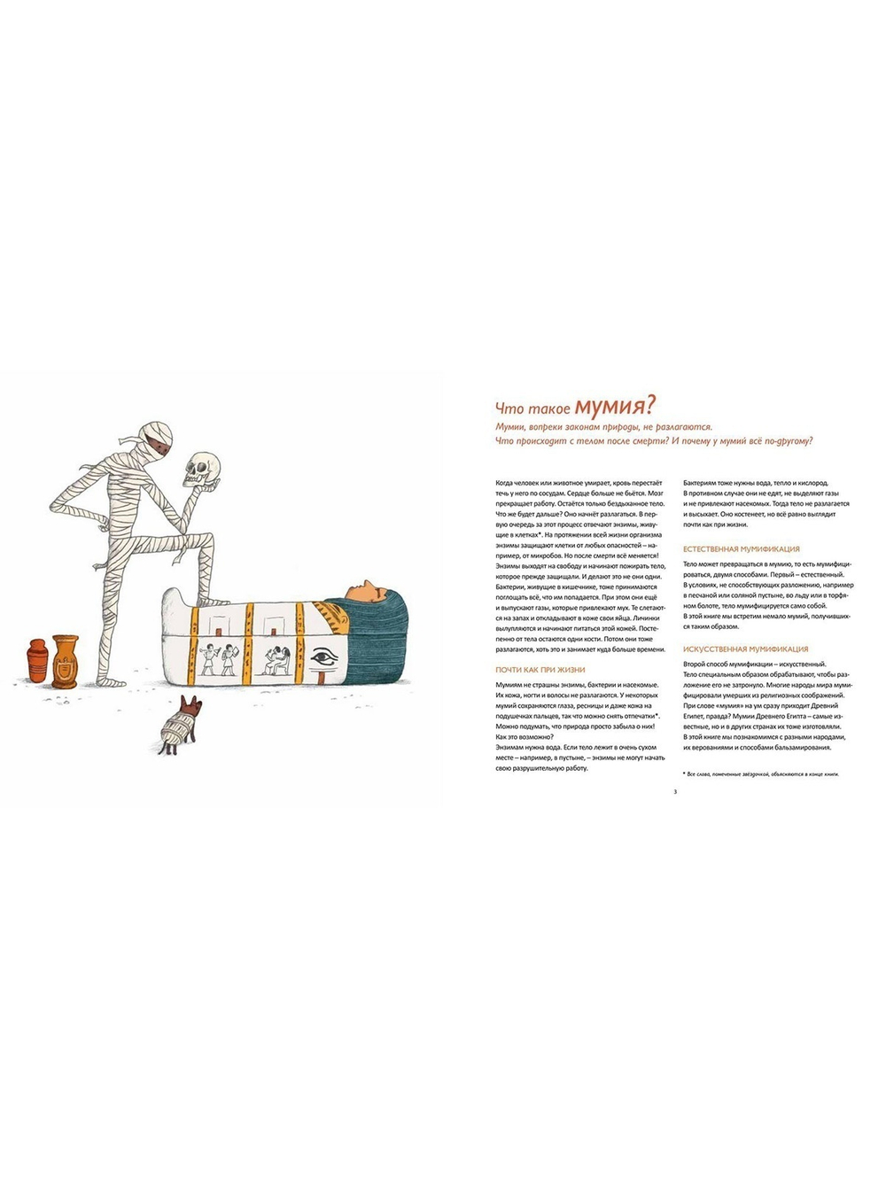 Кто боится мумий?