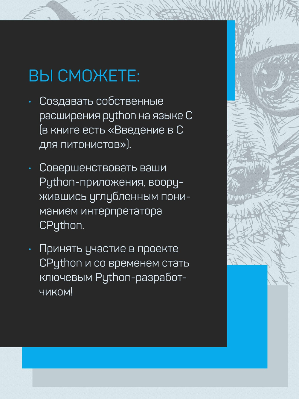 Внутри CPYTHON: гид по интерпретатору Python