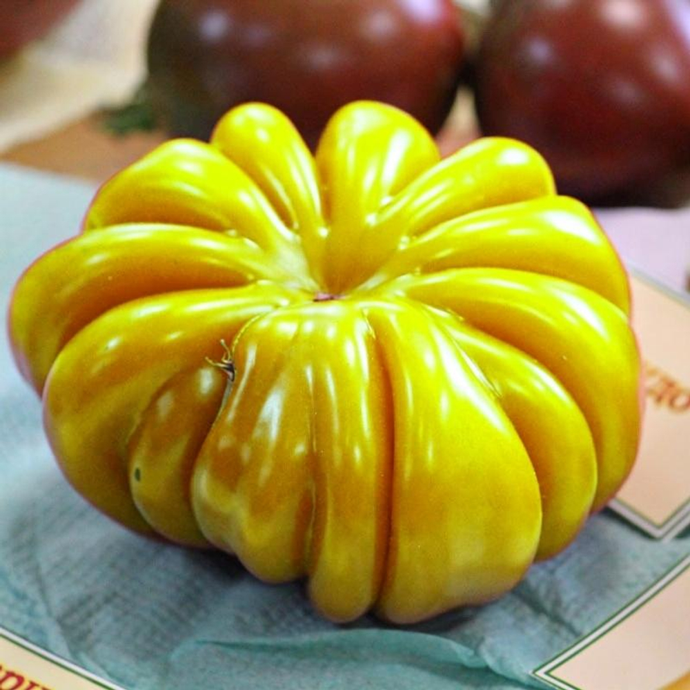 Томат биколор Лотарингская красавица 10шт.