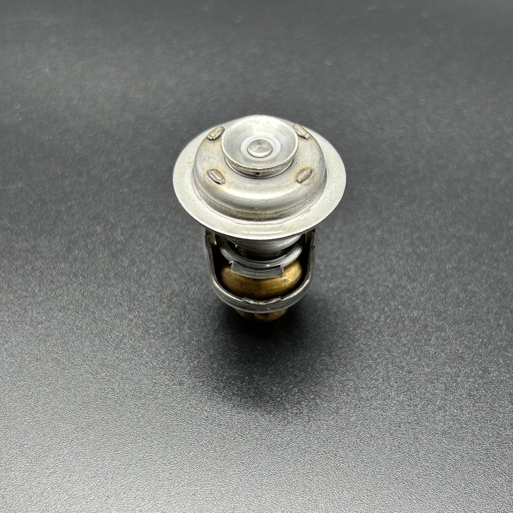 Термостат THERMOSTAT (Quicksilver)