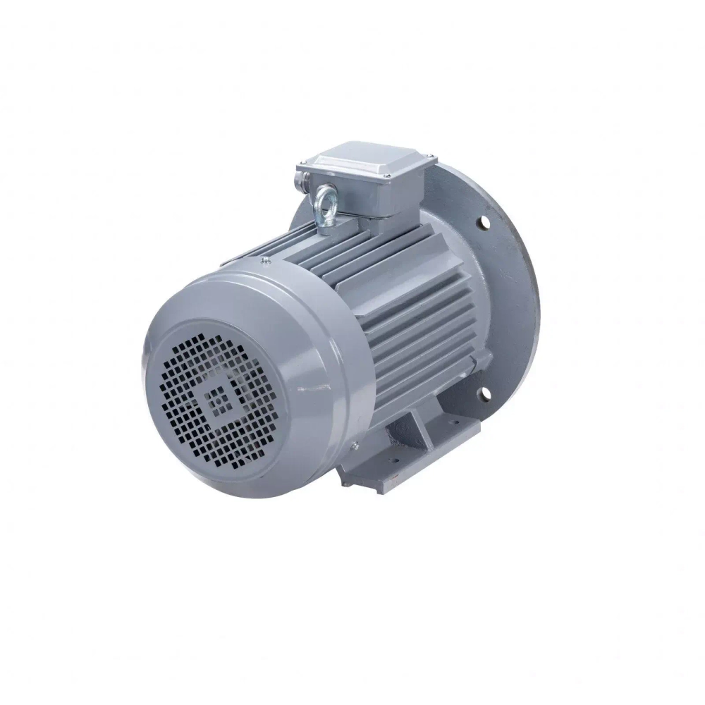 Электродвигатель ESQ PR 100 L4 GST-Б1-S12-IE2 4/1500 IM2081