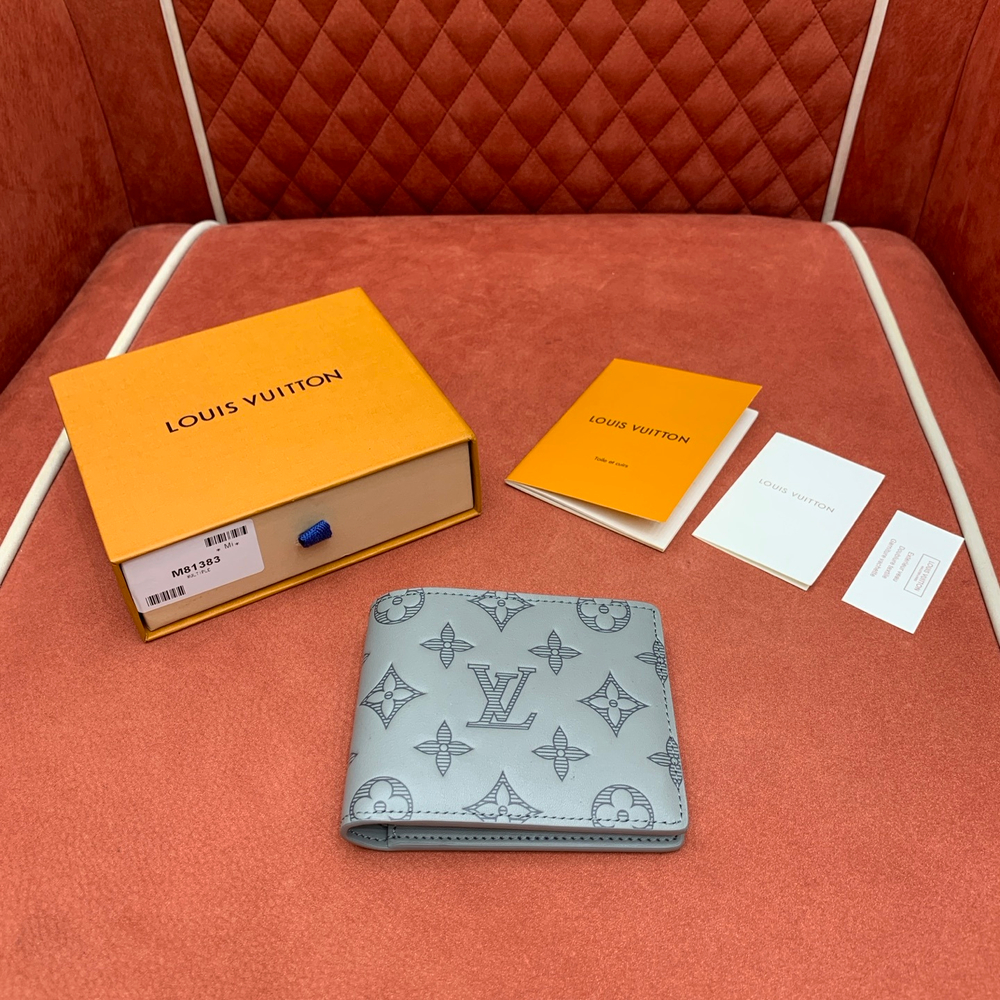 Louis Vuitton Multiple Wallet