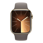 Apple Watch Series 9 41 мм Stainless Steel Gold with Sport Band Clay M/L