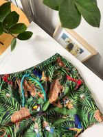 Плавательные шорты Dolce&Gabbana, 116