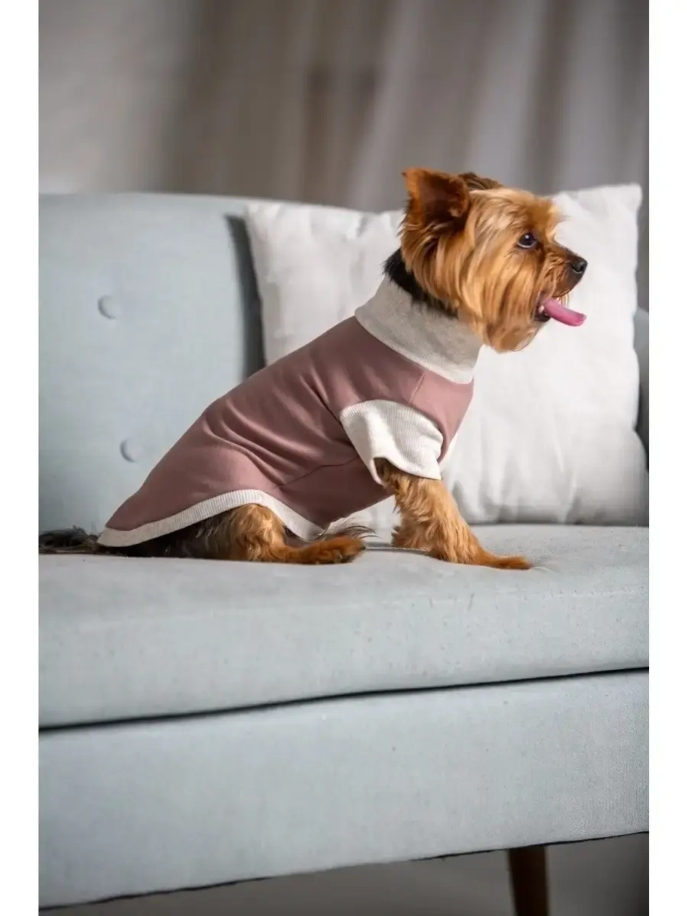 Футболка для собак мелких средних пород и кошек