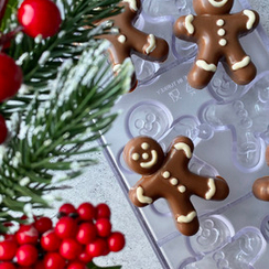 459 | Форма для шоколадных изделий (275*135 мм)