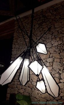 The Harlow Dried Flowers Chandelier by Gabriel Scott ( black )