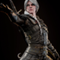Ciri Witcher - The witcher IV