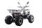 Квадроцикл MOTAX ATV Grizlik Premium 125cc
