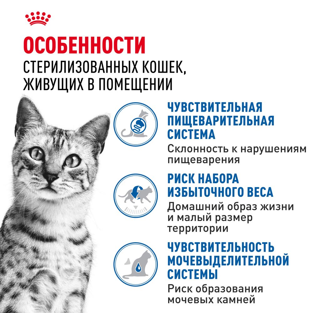 Пауч Royal Canin Indoor Sterilised для взрослых кастрированных и стерилизованных кошек, живущих в помещении, кусочки в желе Пауч Royal Canin Indoor Sterilised для взрослых кастрированных и стерилизованных кошек, живущих в помещении, кусочки в желе