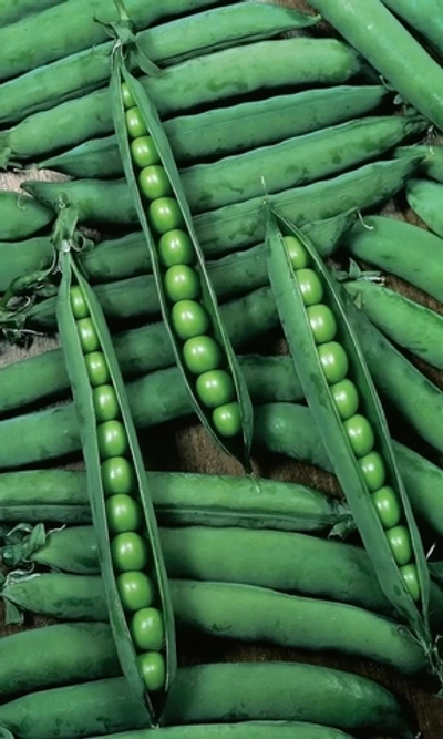 Семена Капуста цветная Египетские Пирамиды 0,2 гр (УД) Е/П